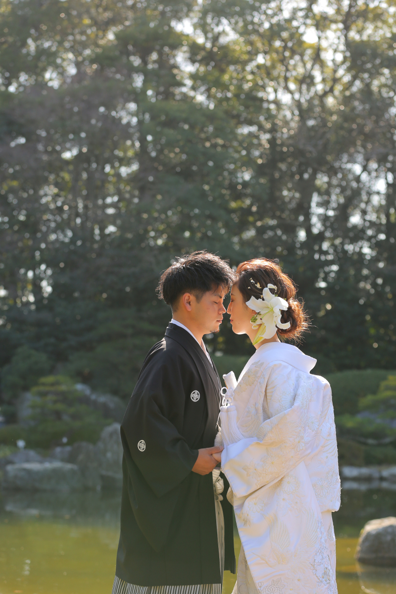 冬ならではの光