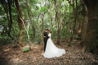 緑！グリーンで