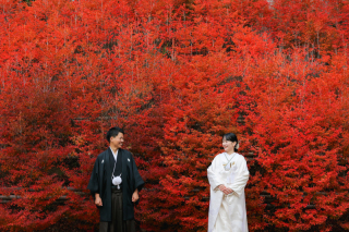 秋の新名所　呑山観音寺ロケーション