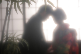 屋内庭園スタジオ