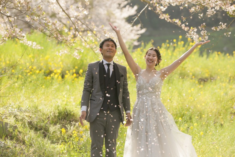 桜&菜の花