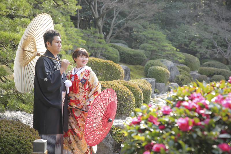 椿が、咲いています