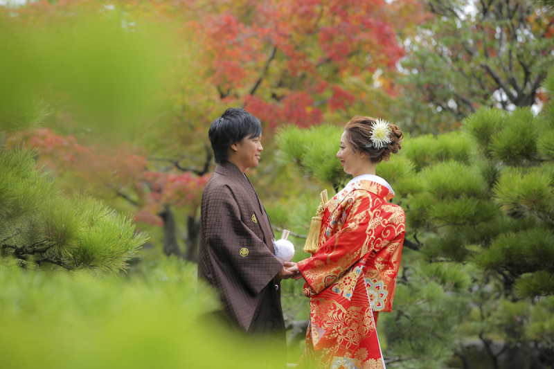 松の木も美しい