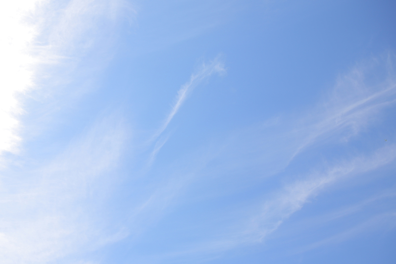 いいお天気でした♪