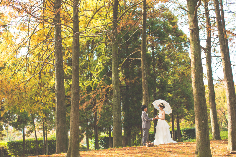 ここはどこでしょう？