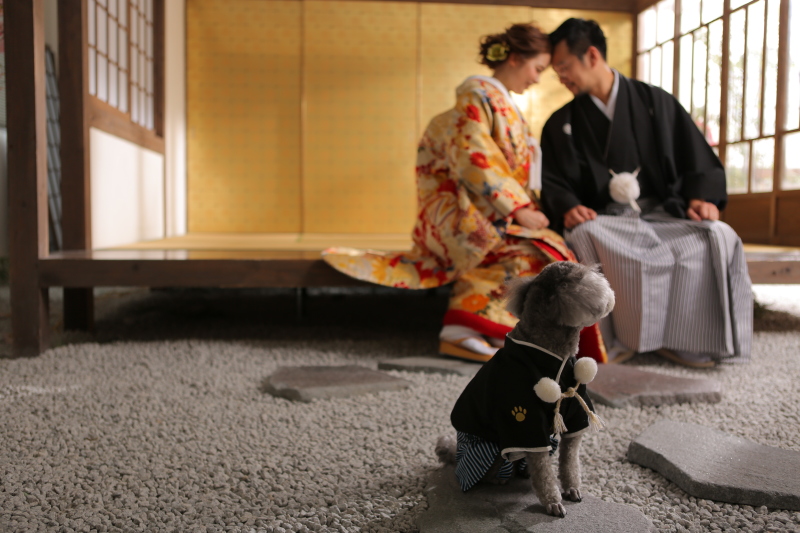 ペットとの撮影もOK！