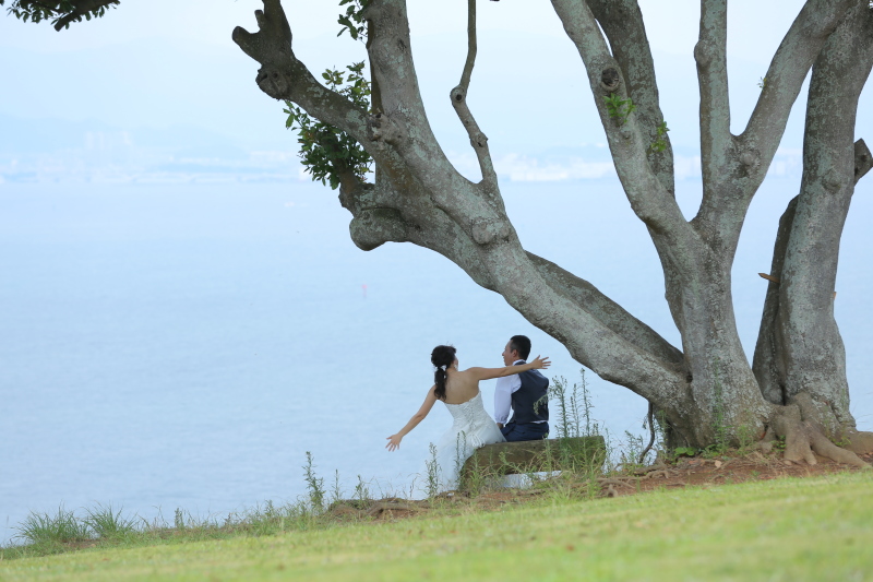 海が見える丘で
