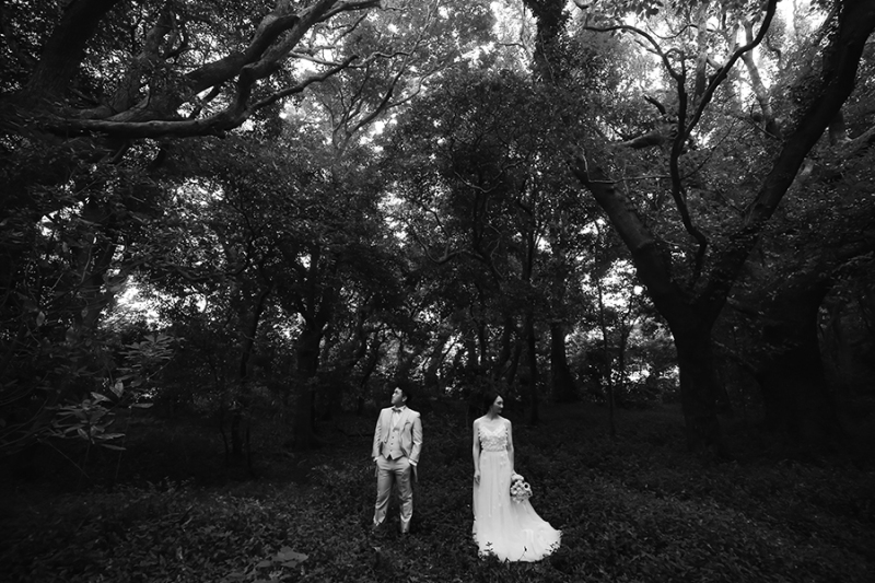 糸島のとある森