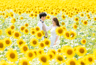 夏のNEWスポット