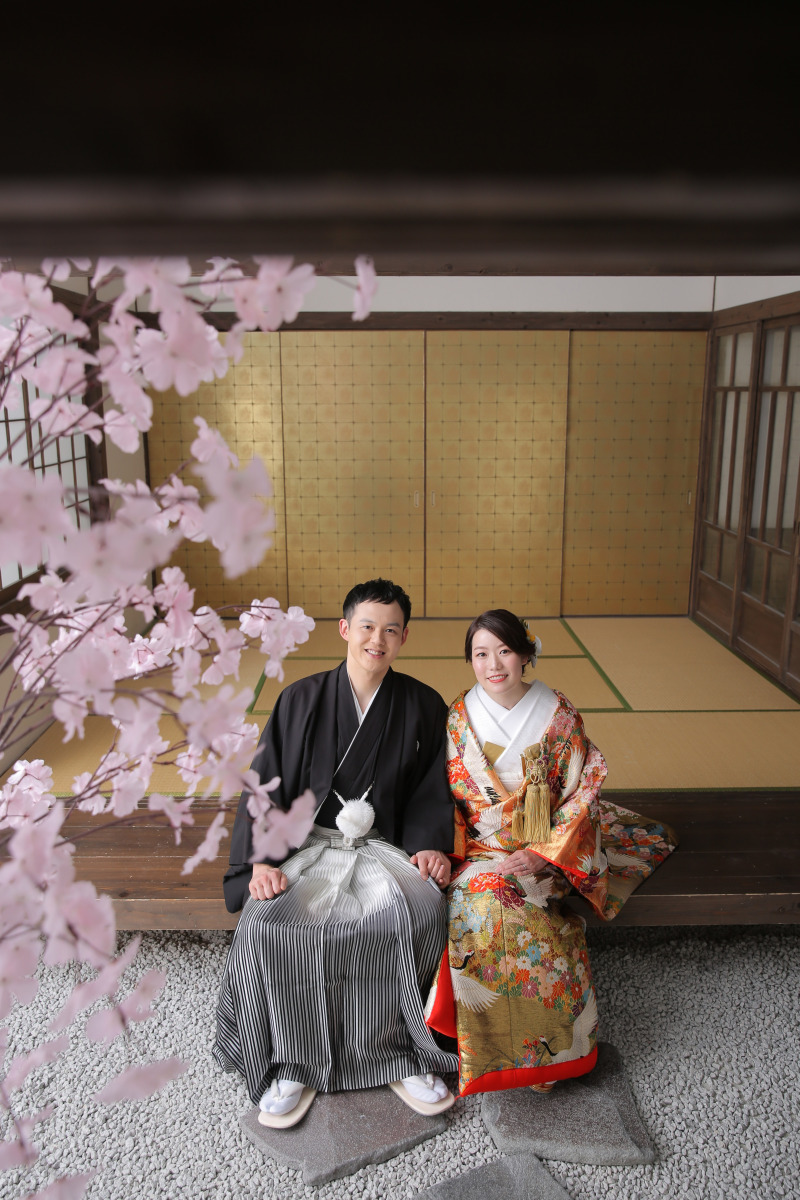 さくら先取り！！