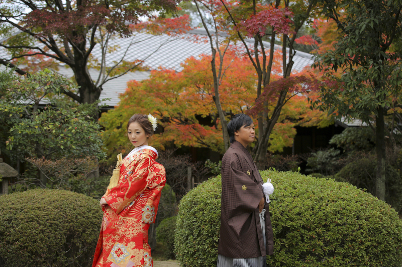 11月上旬の紅葉