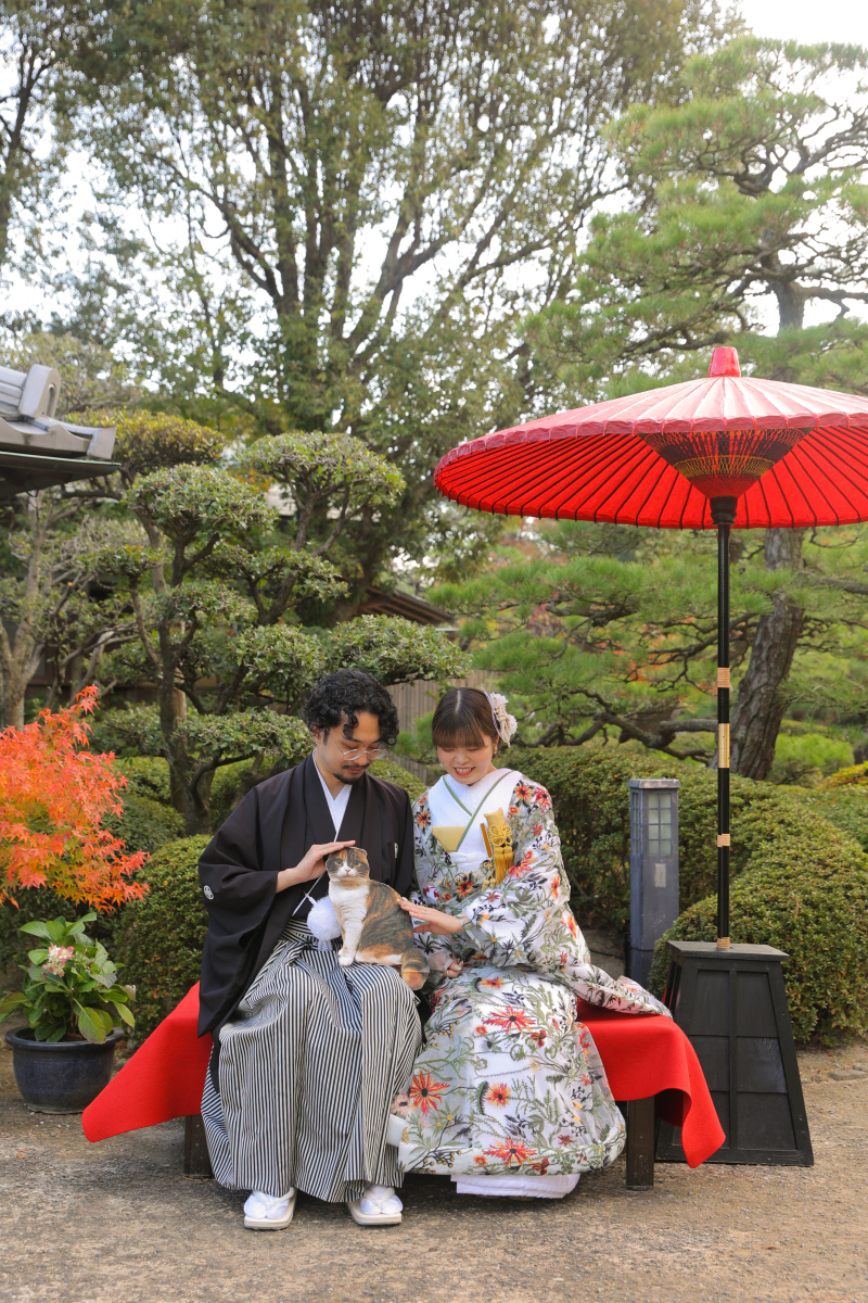 おふたりの猫型クッションといっしょに