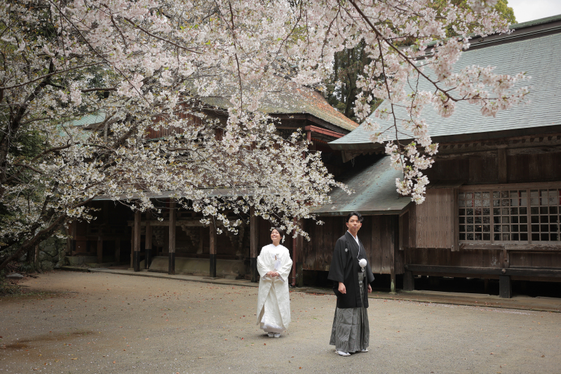 いい場所に桜が咲いていました