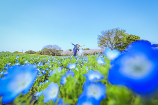 花畑に海！これからの季節にオススメのロケーションプラン☆