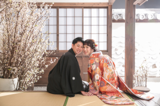 屋内庭園に桜が咲きました〜！