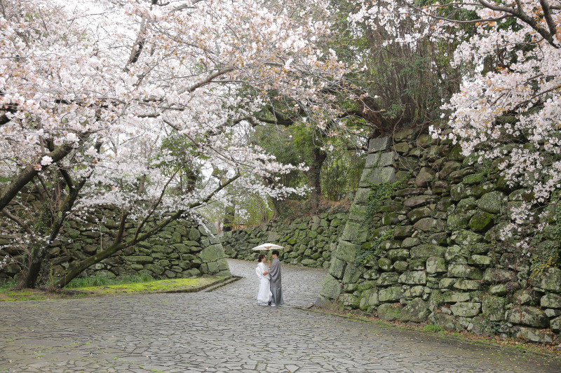 ✿桜といえば舞鶴公園✿