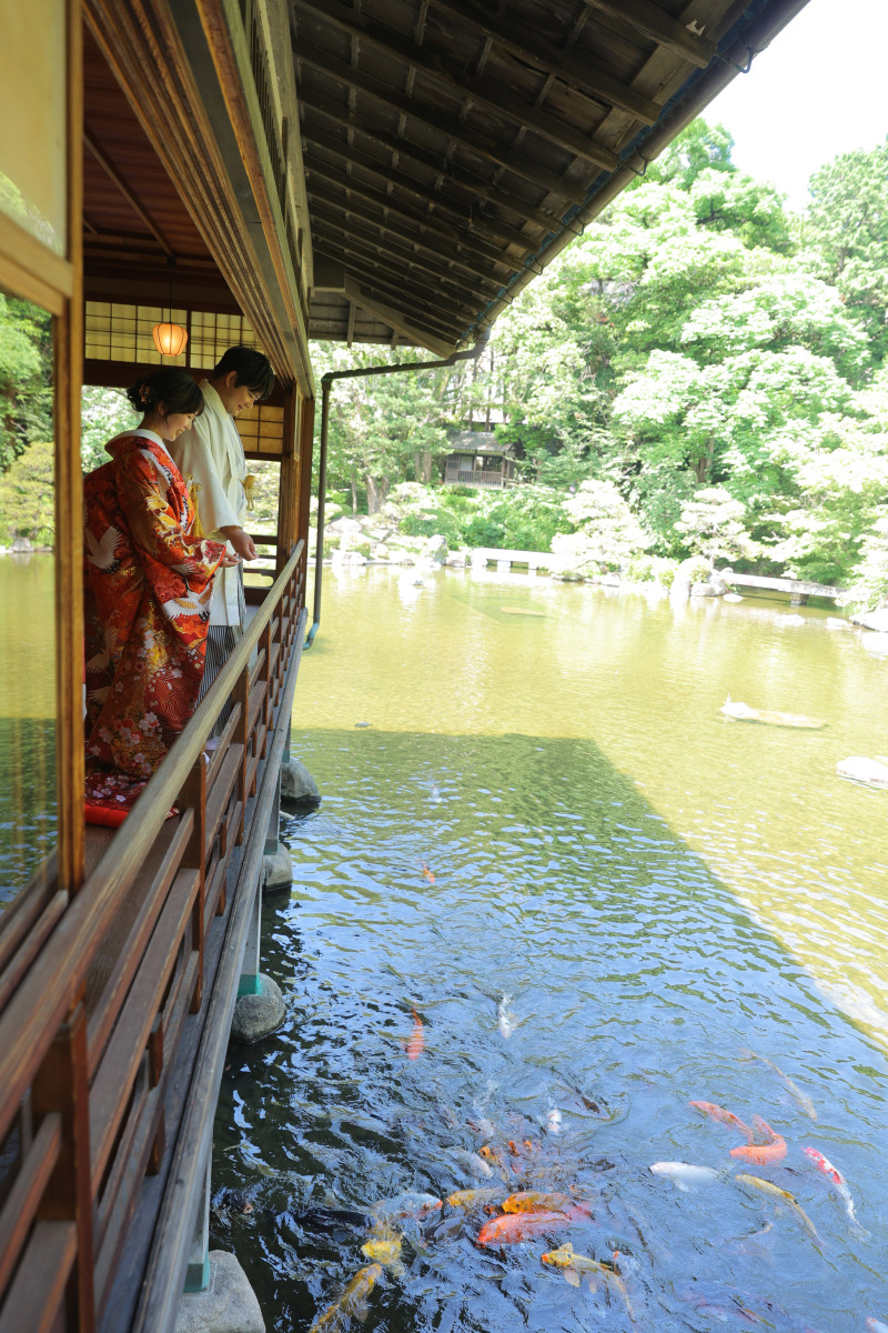 池の中には鯉