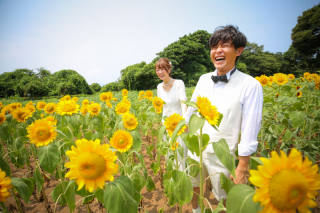 ひまわり畑！だけじゃない！のこの島ロケーション♪