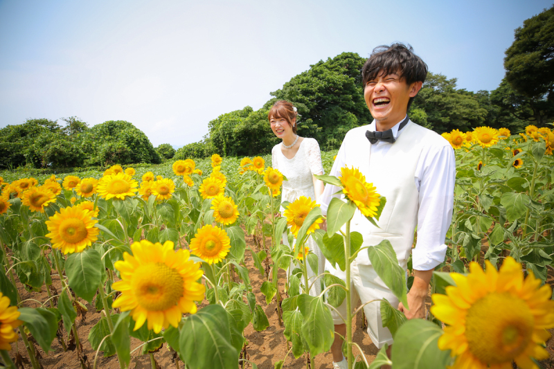 ひまわり畑！だけじゃない！のこの島ロケーション♪