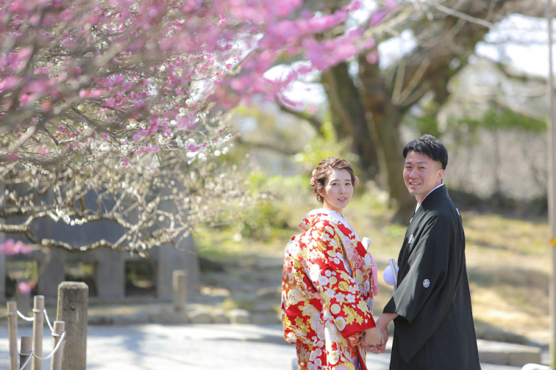 美しい梅の花、満開でした☆