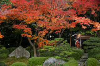 色づく大濠日本庭園