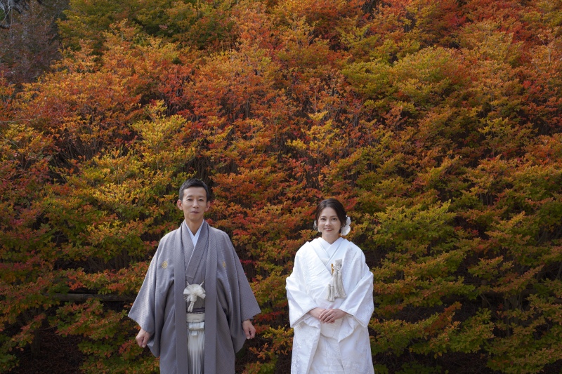 紅葉の壁