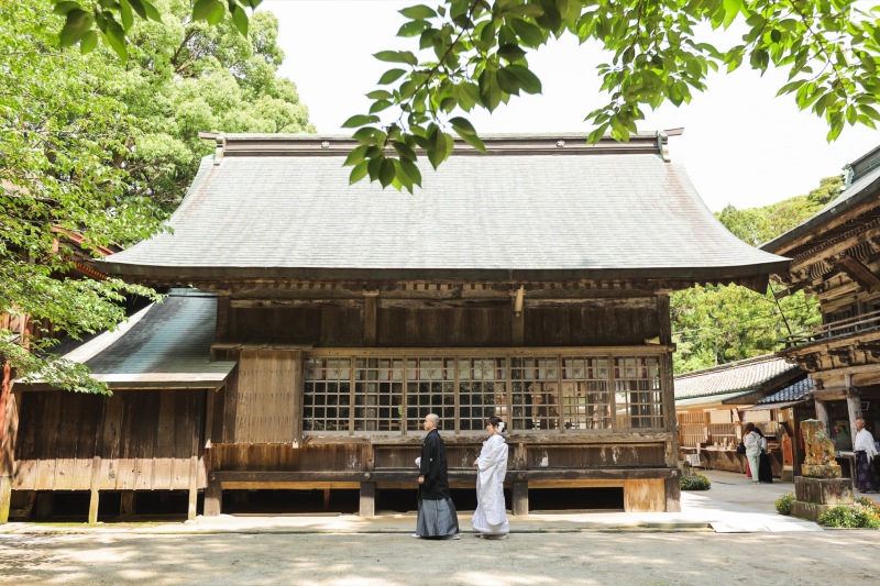 新緑-櫻井神社