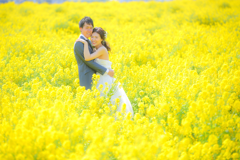 春の訪れ☆菜の花畑