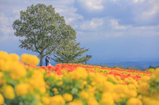 新！おすすめロケスポット