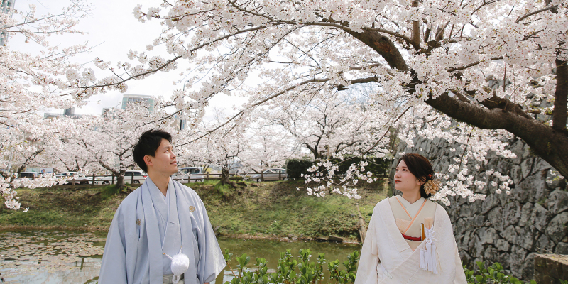 春爛漫、桜満開。