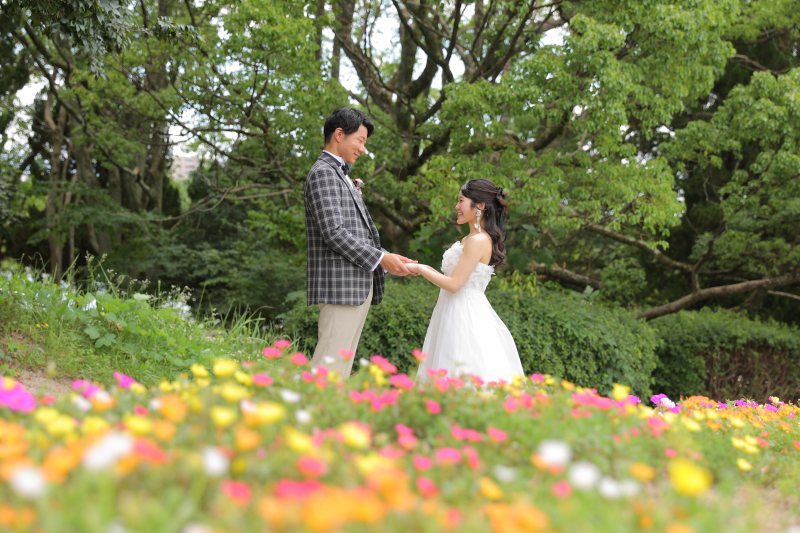 色とりどりのお花畑