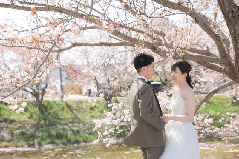 桜!