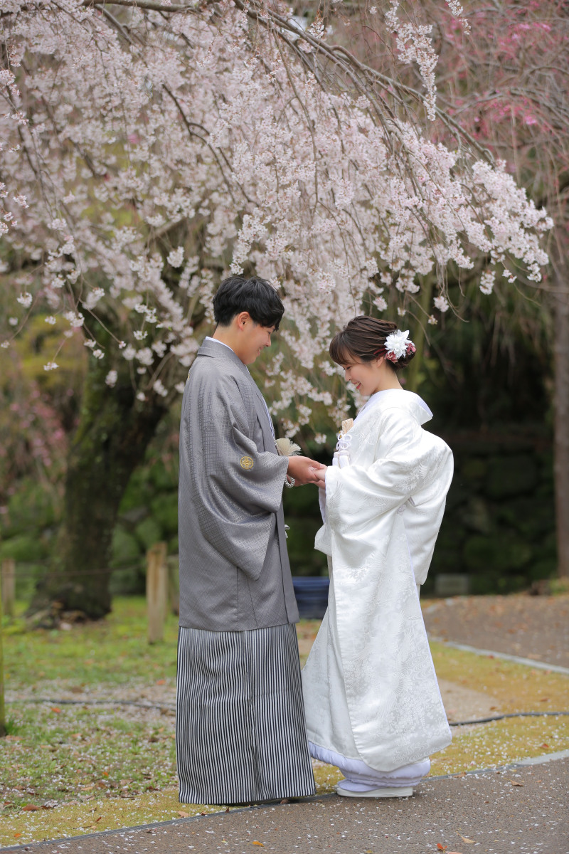 しだれ桜の下で