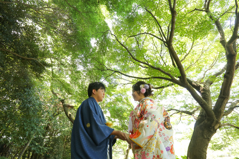 緑の美しいスポットで