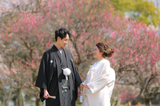 梅の花ロケーション