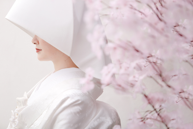 スタジオで撮る桜