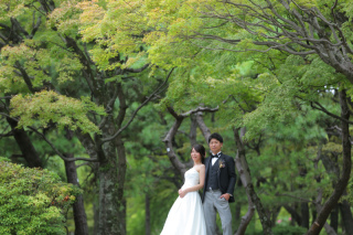 緑が美しい公園で