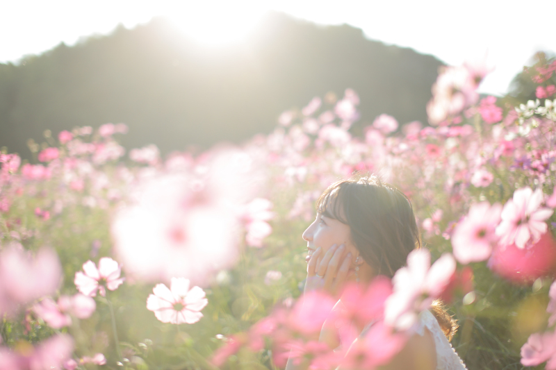 和装スタジオPLUSと洋装糸島ロケーション コスモスもきれい