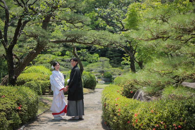 緑のきれいな季節