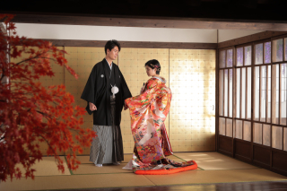 屋内庭園＋ハウススタジオプラン