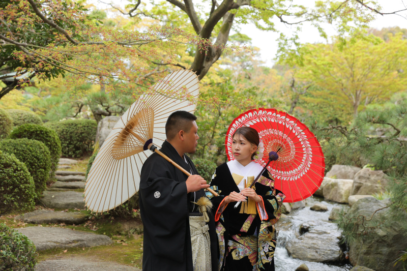 紅白の傘