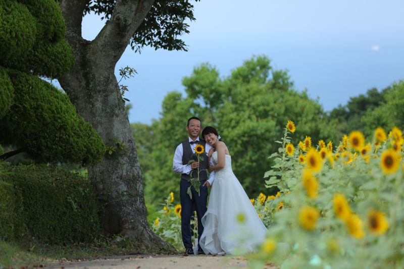 ひまわりを持って撮れる♪