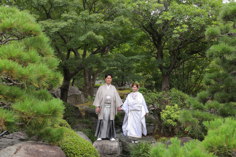木々たちに祝福されているよう