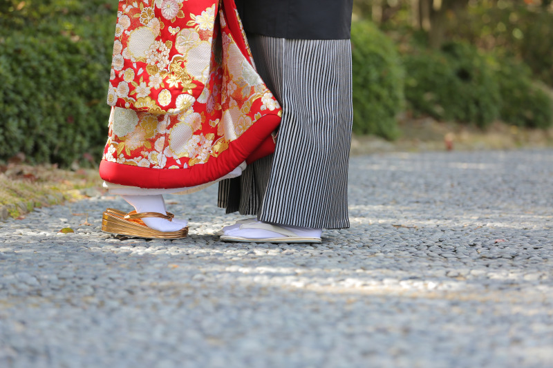 大濠日本庭園にも春の訪れ