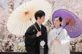 桜撮影始まりました