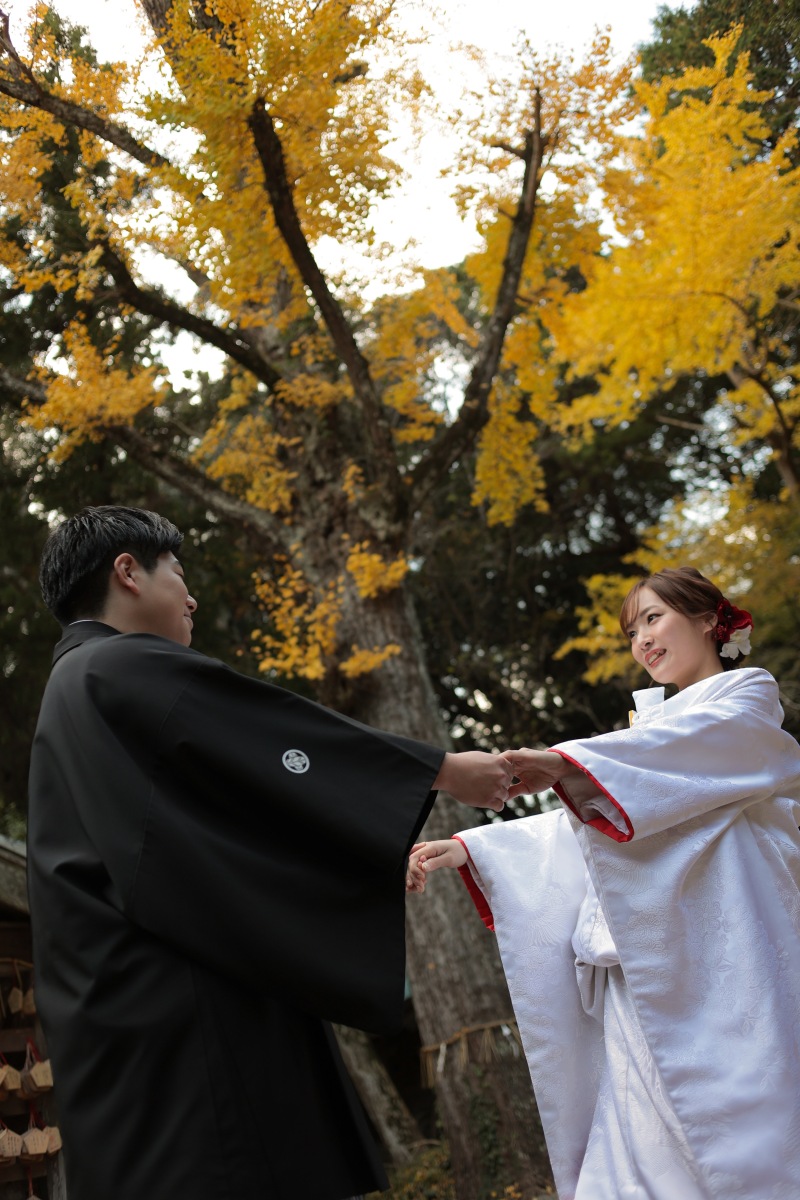 銀杏の木が紅葉