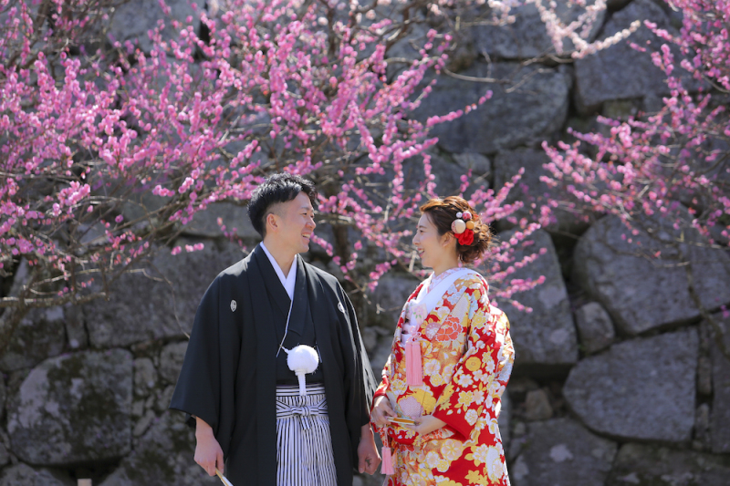 梅の花 ロケーション