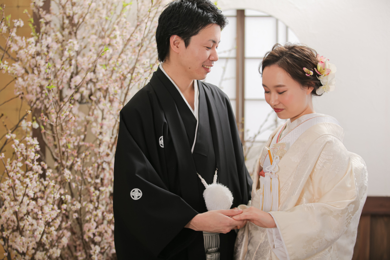 桜が咲く屋内スタジオで