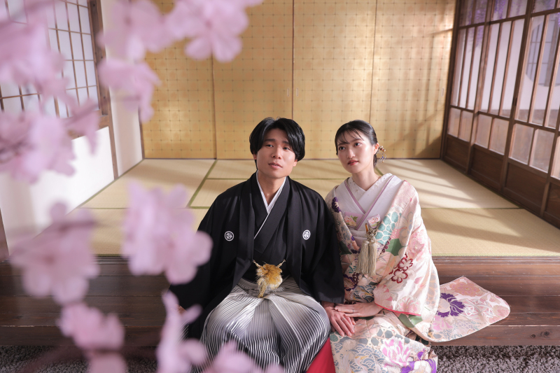 桜を眺めて
