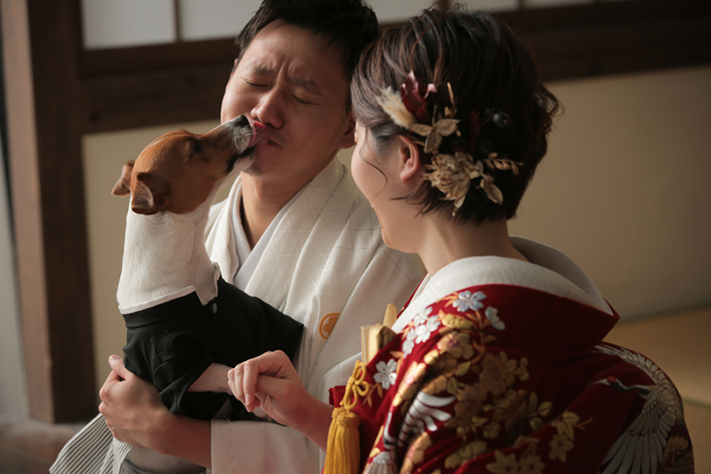 可愛いワンシーン